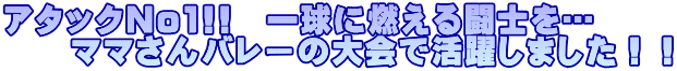A^bNNo1!!@ꋅɔR铬mc @@}}o[̑Ŋ􂵂܂II