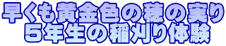 F̎̕ @TN̈̌