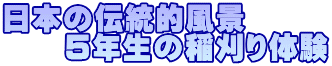 {̓`Ii @@TN̈̌
