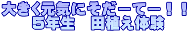 傫Cɂ[ā[II @@TN@cǍ