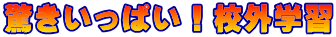 ςIZOwK