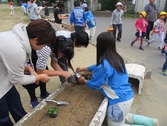 高校生と苗植え