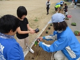 高校生と苗植え
